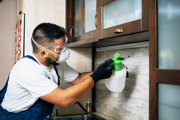Best Wildlife Control Services  in Fruitland, NC