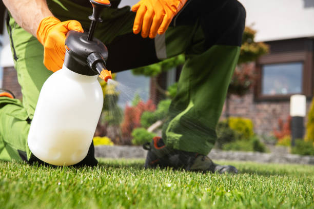 Best Affordable Pest Control Services  in Fruitland, NC