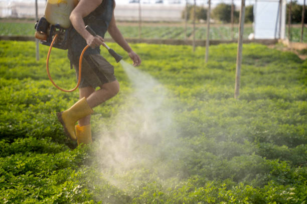 Best Best Pest Control Companies  in Fruitland, NC