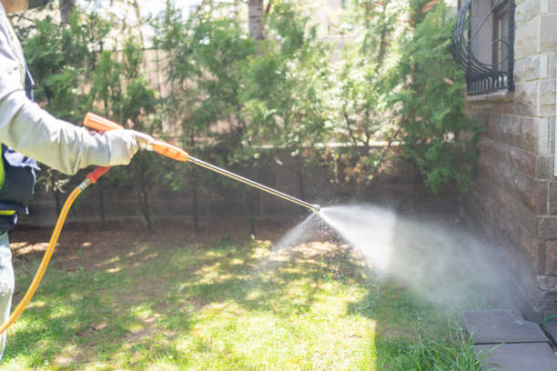 Best Emergency Pest Control  in Fruitland, NC