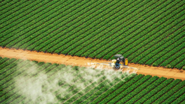 Best Pest Inspection Near Me  in Fruitland, NC