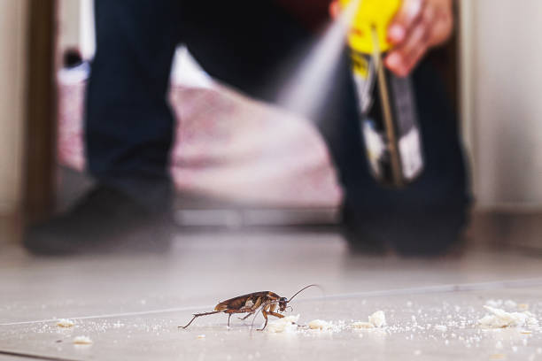 Best Mosquito Control Services  in Fruitland, NC